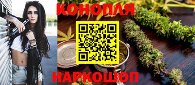 сатива Нальчик