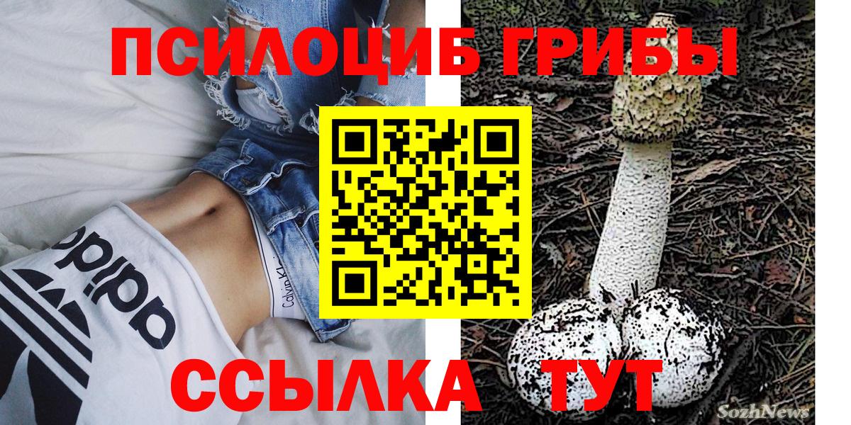 Рославль  Псилоцибиновые грибы Cubensis  Вход с VPN 