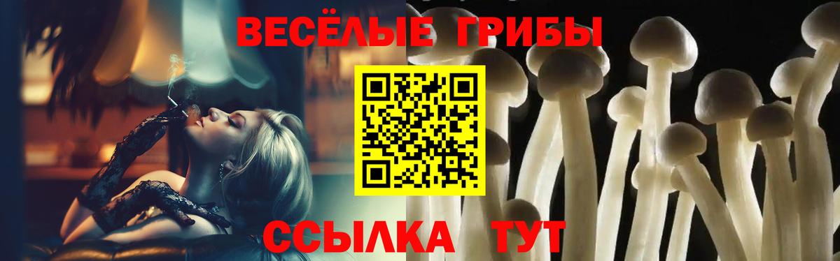 Псилоцибиновые грибы мицелий Рославль